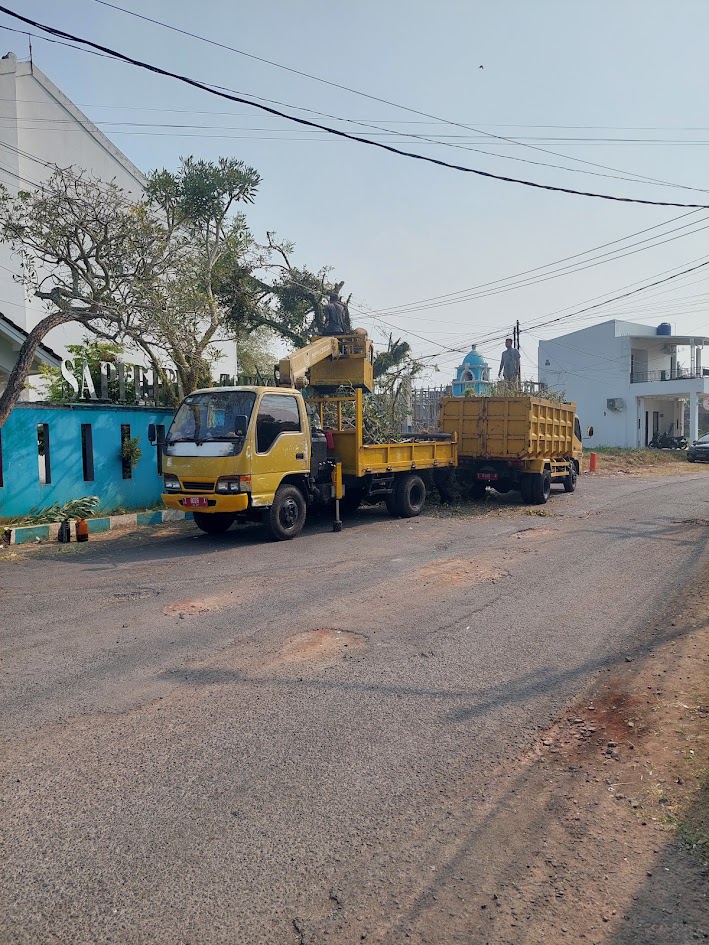 Pemangkasan Pohon Depan Pagar